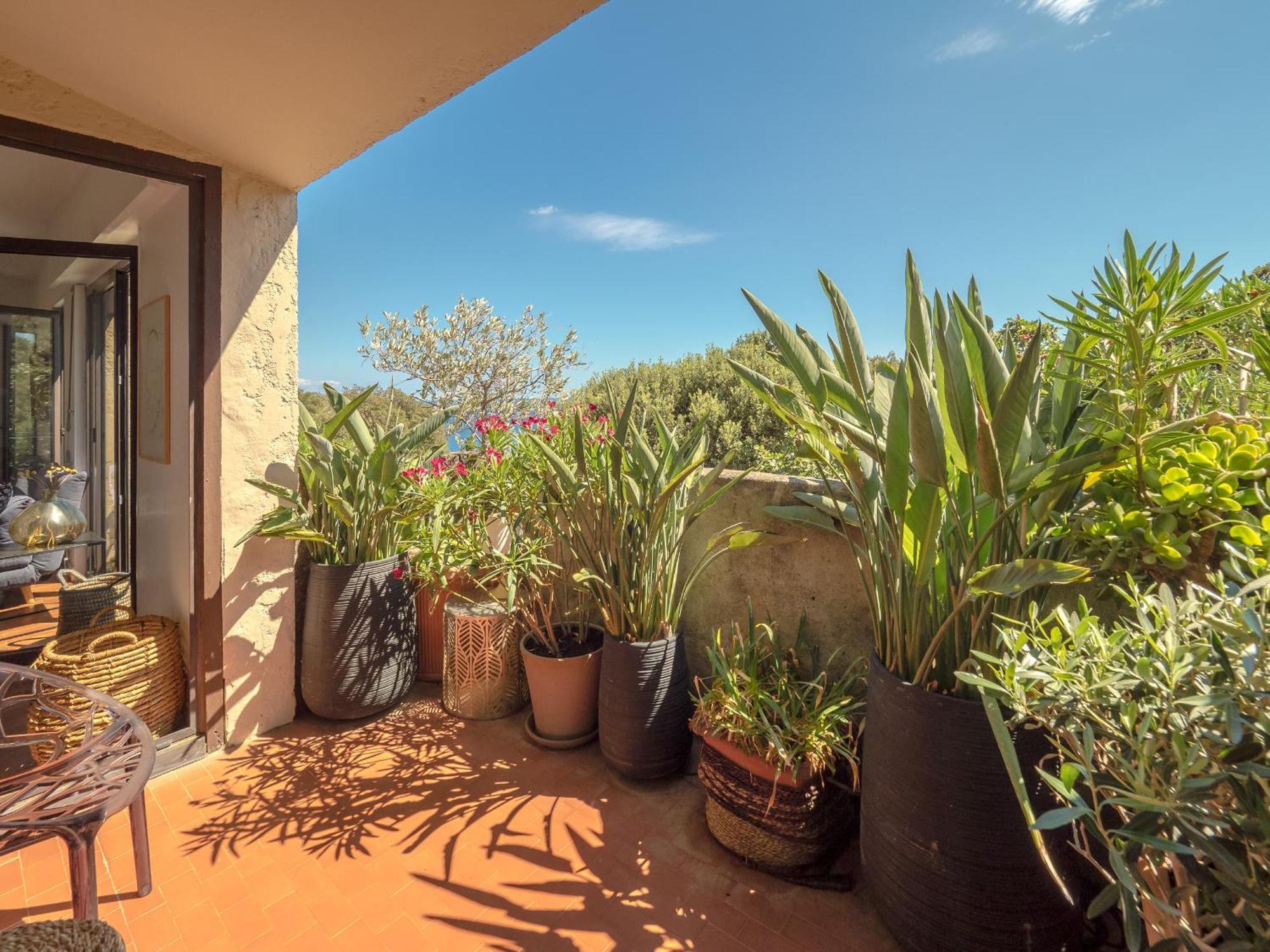 Residence Les Sources 브란도 외부 사진